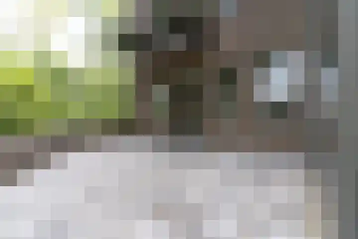Raadhuisplein 4 Asperen thumbnail 16