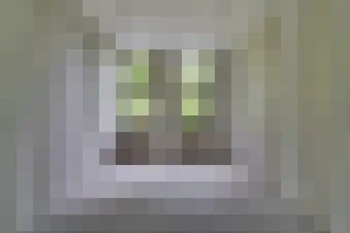 Raadhuisplein 4 Asperen thumbnail 26