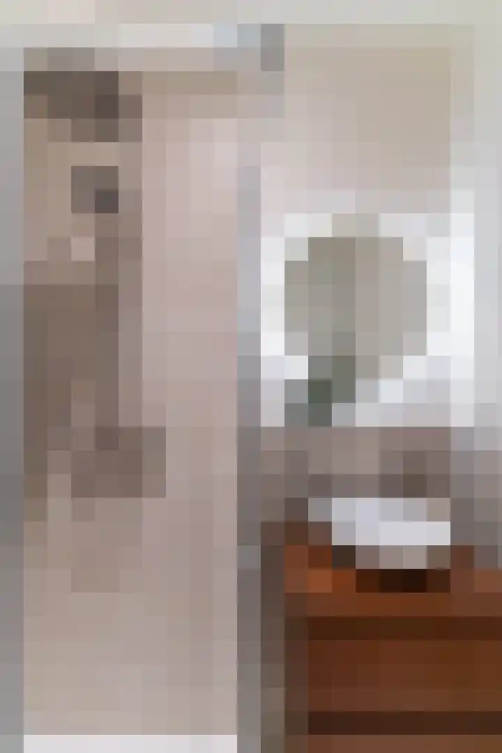 Raadhuisplein 4 Asperen thumbnail 34