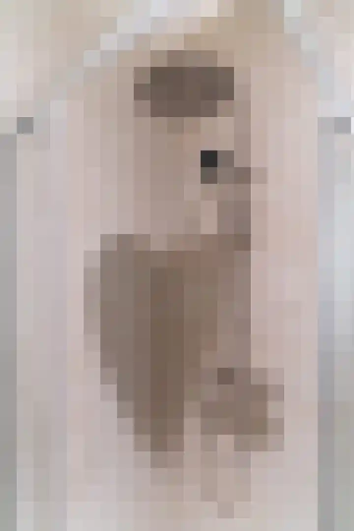 Raadhuisplein 4 Asperen thumbnail 35