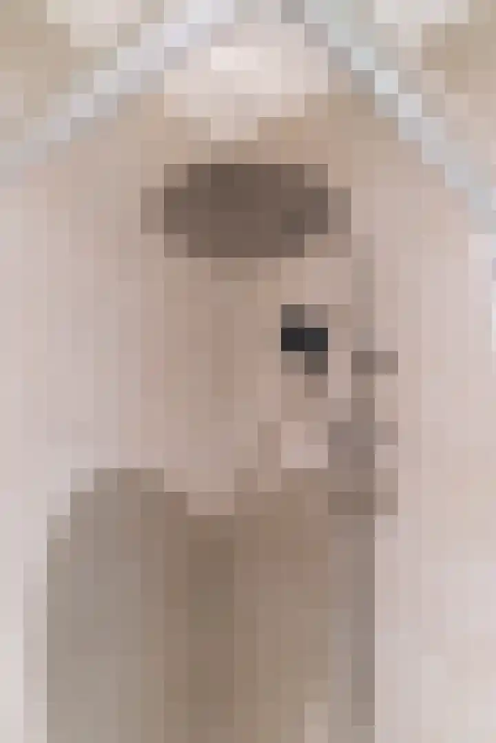 Raadhuisplein 4 Asperen thumbnail 36