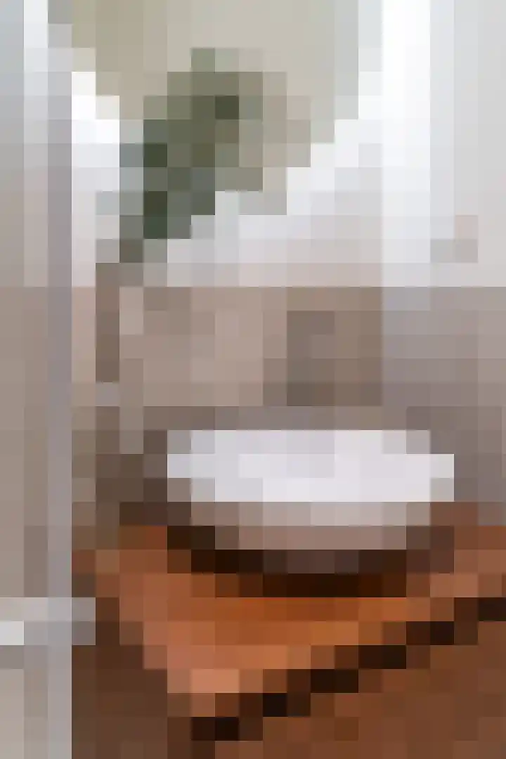 Raadhuisplein 4 Asperen thumbnail 38