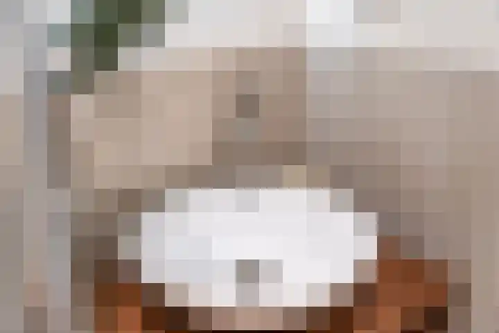 Raadhuisplein 4 Asperen thumbnail 39
