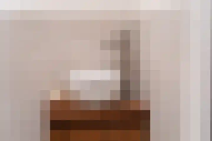 Raadhuisplein 4 Asperen thumbnail 44