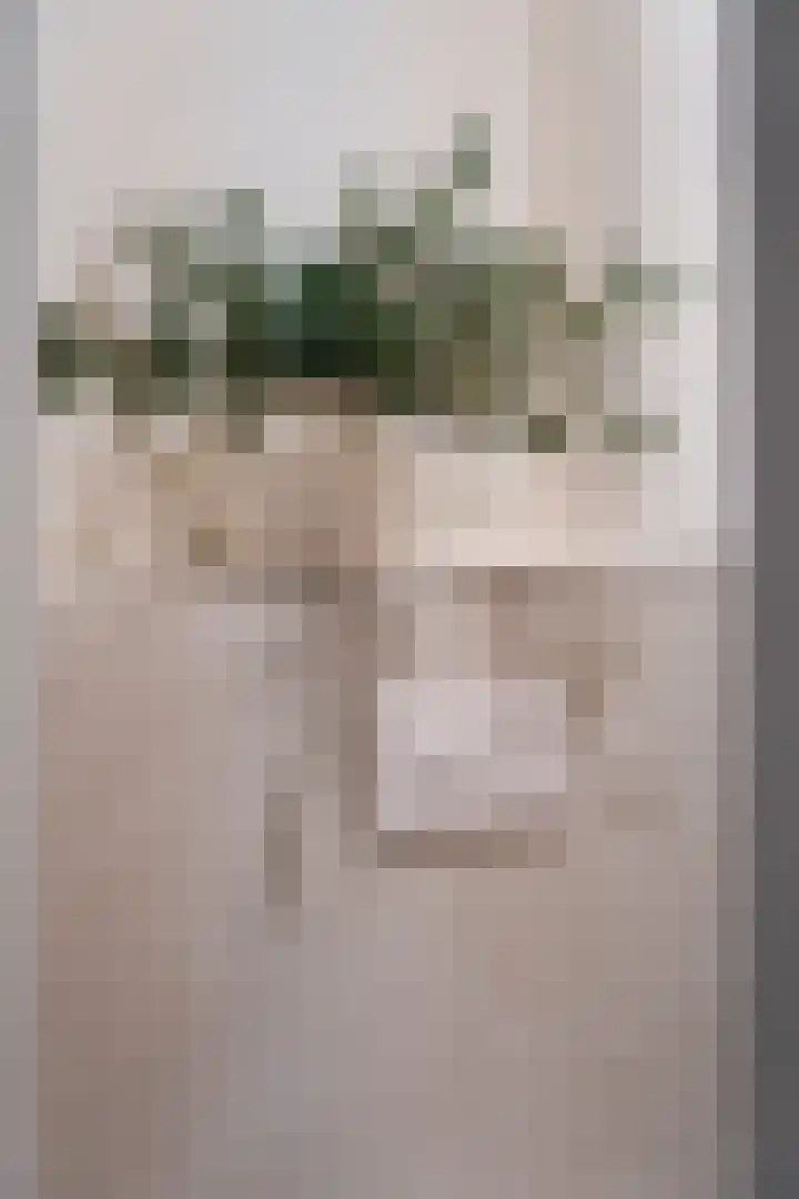 Raadhuisplein 4 Asperen thumbnail 45
