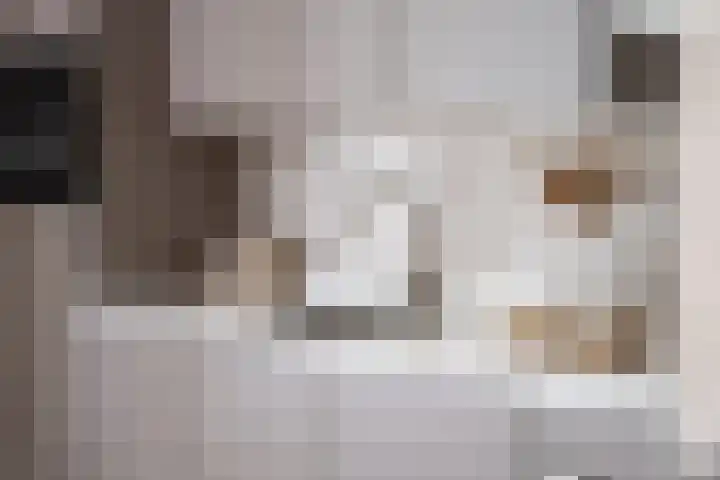 Raadhuisplein 4 Asperen thumbnail 5