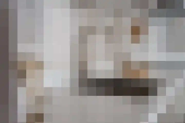 Raadhuisplein 4 Asperen thumbnail 7