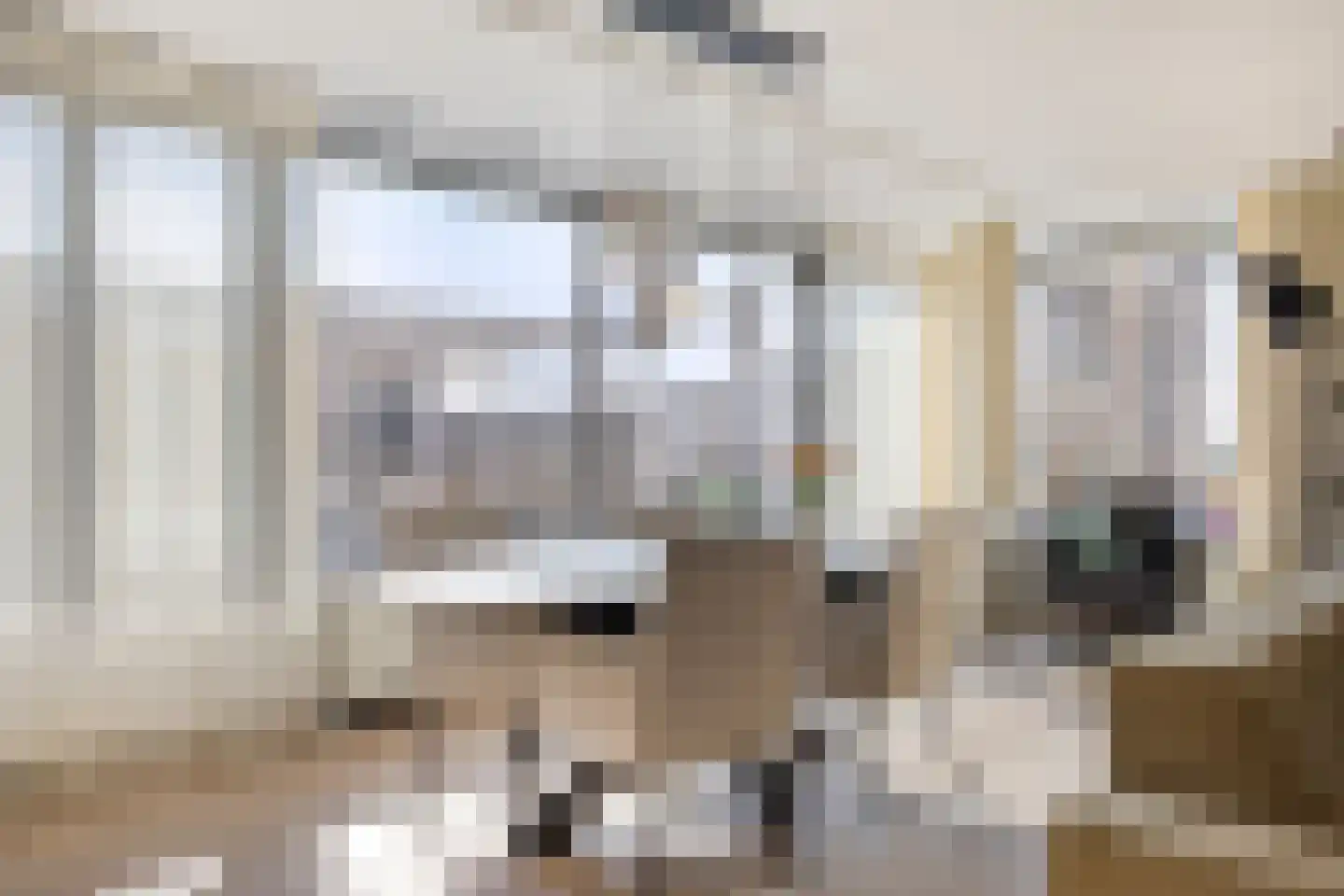 Raadhuisplein 4 Veenendaal thumbnail 14
