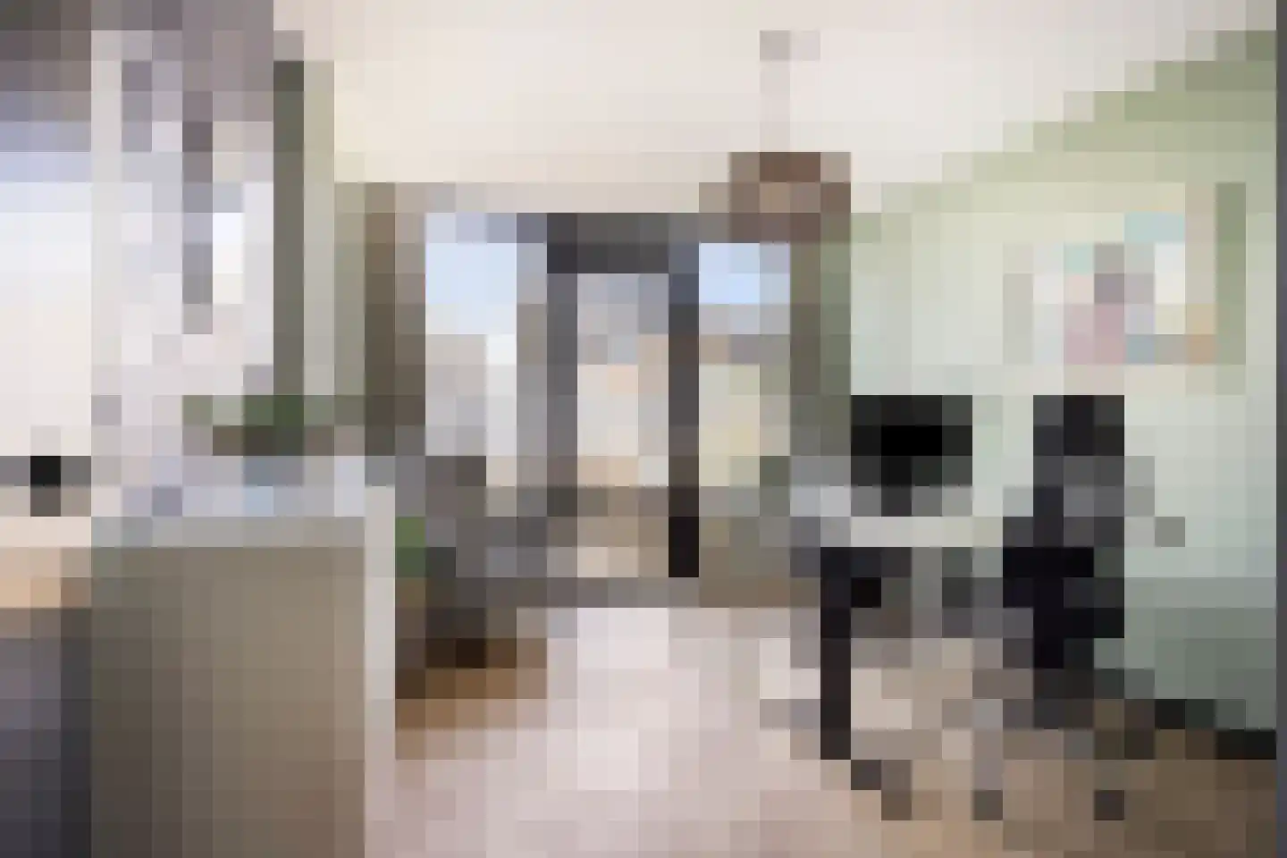 Raadhuisplein 4 Veenendaal thumbnail 19