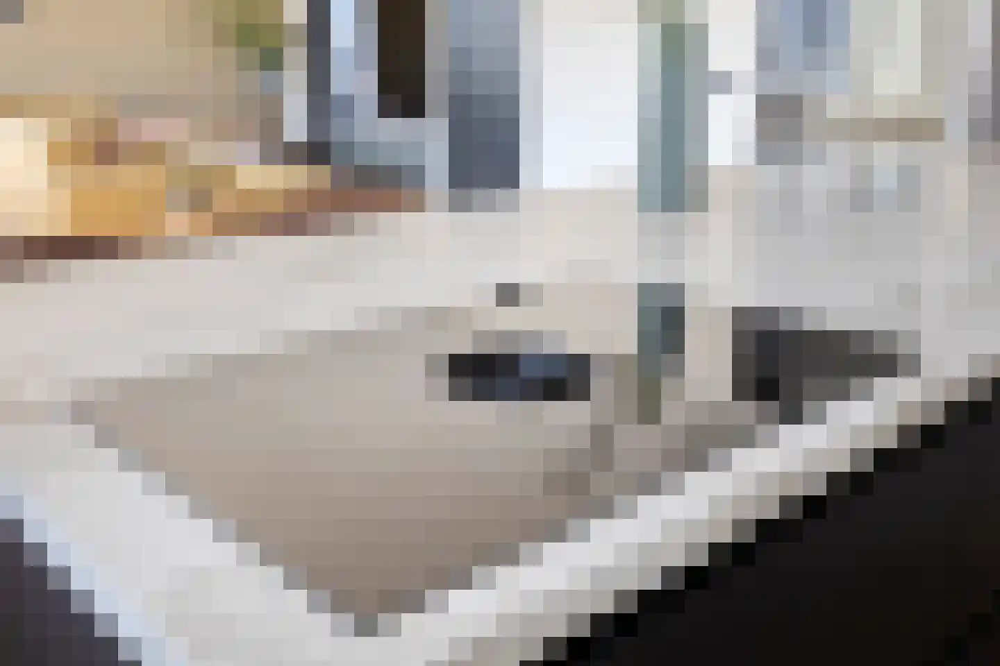 Raadhuisplein 4 Veenendaal thumbnail 19