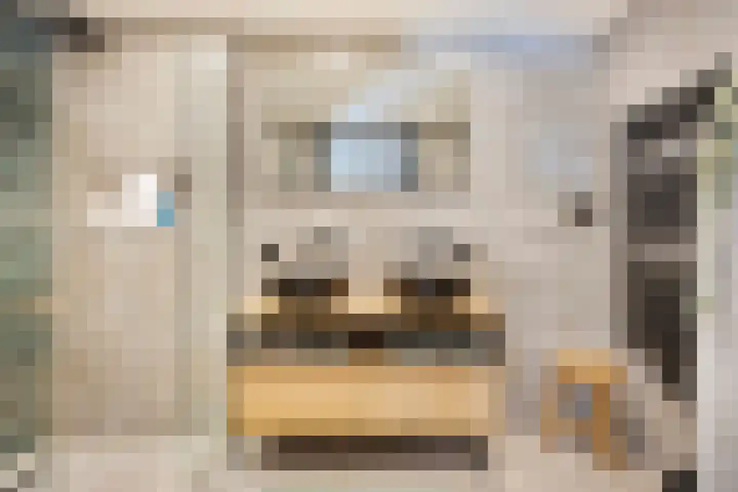 Raadhuisplein 4 Veenendaal thumbnail 23