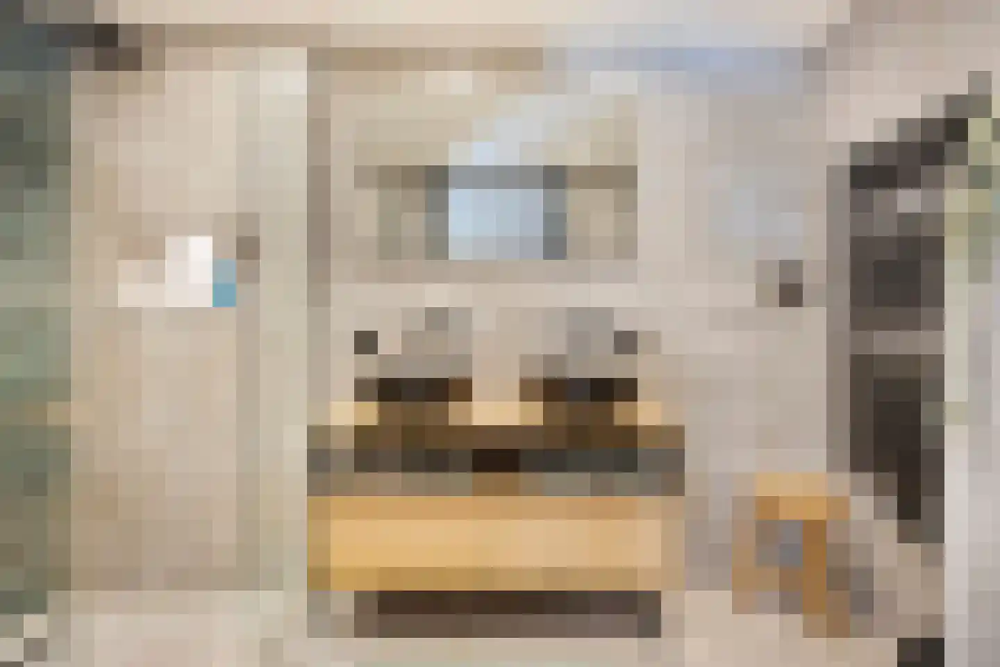 Raadhuisplein 4 Veenendaal thumbnail 5