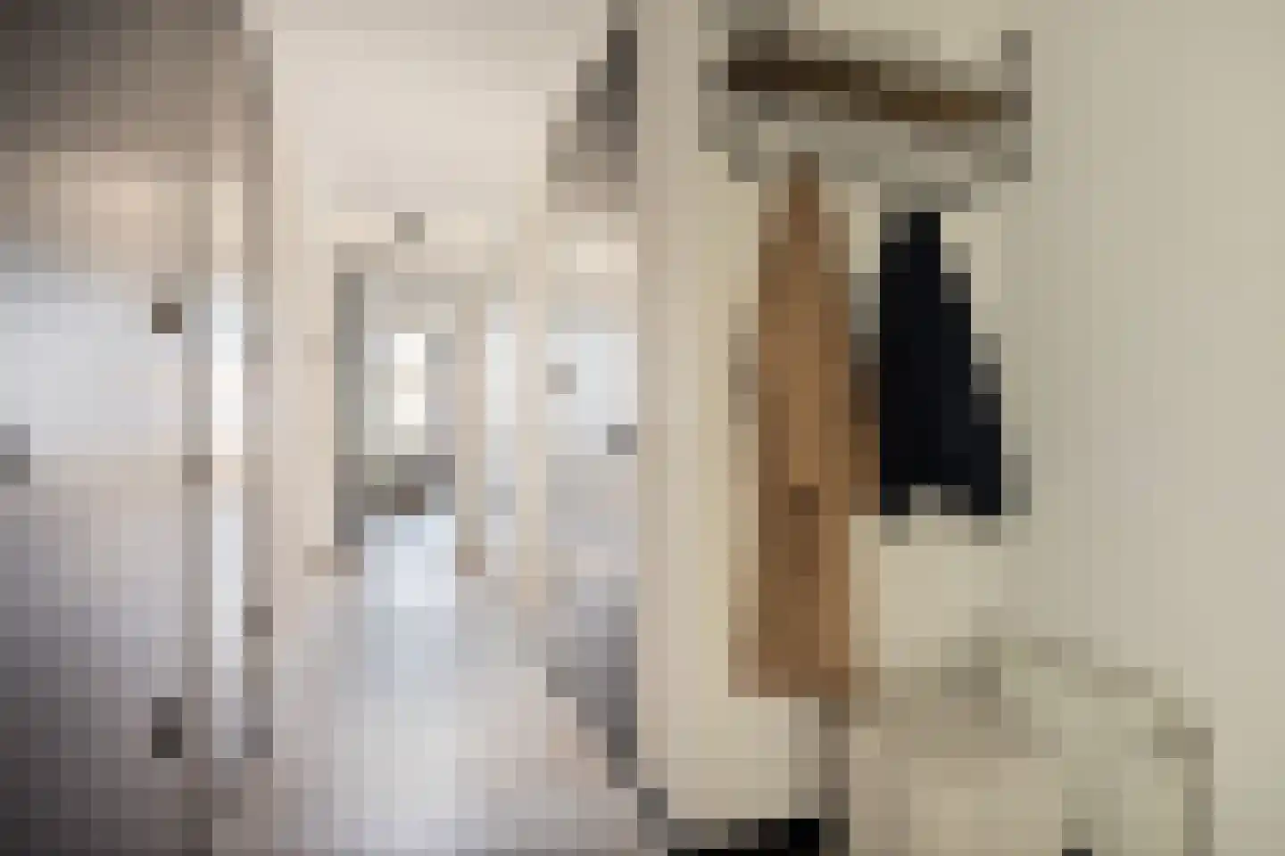 Raadhuisplein 4 Veenendaal thumbnail 9
