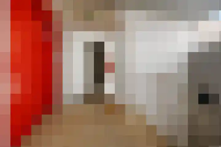 Raadhuisplein 44 A Barneveld thumbnail 22