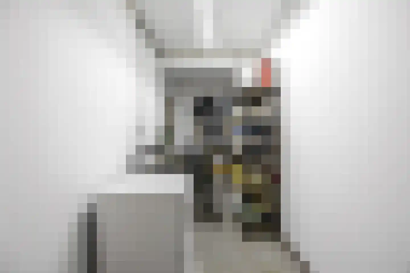 Raadhuisplein 44 H Barneveld thumbnail 23