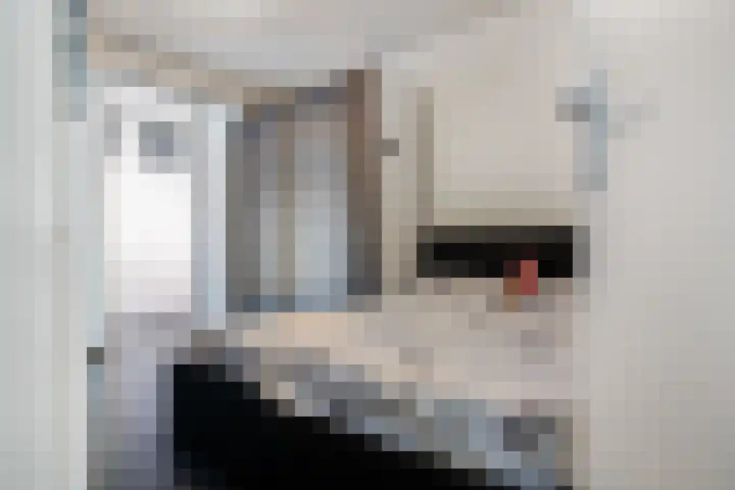 Raadhuisplein 44 Hoofddorp thumbnail 4