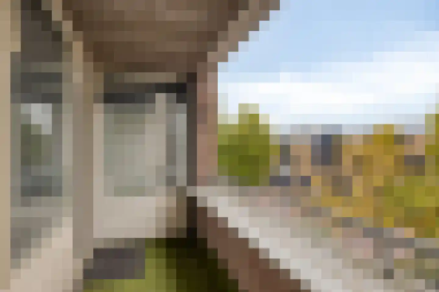 Raadhuisplein 45 Best thumbnail 31