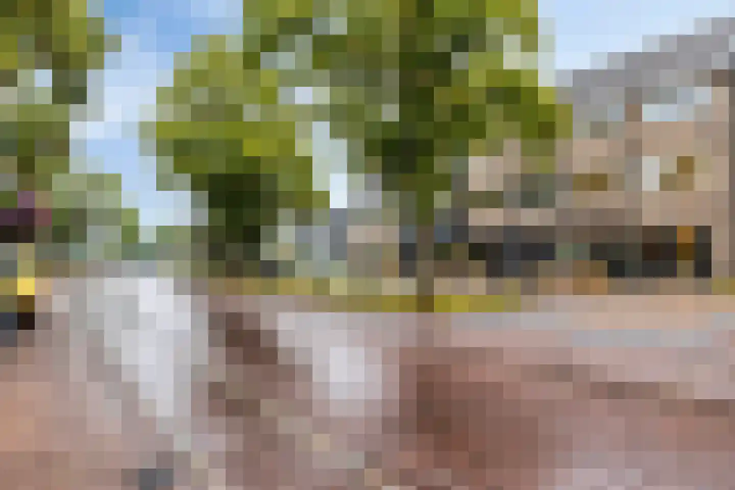 Raadhuisplein 45 Best thumbnail 42