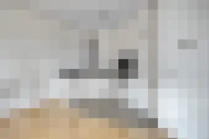 Raadhuisplein 46 Boxmeer thumbnail 9