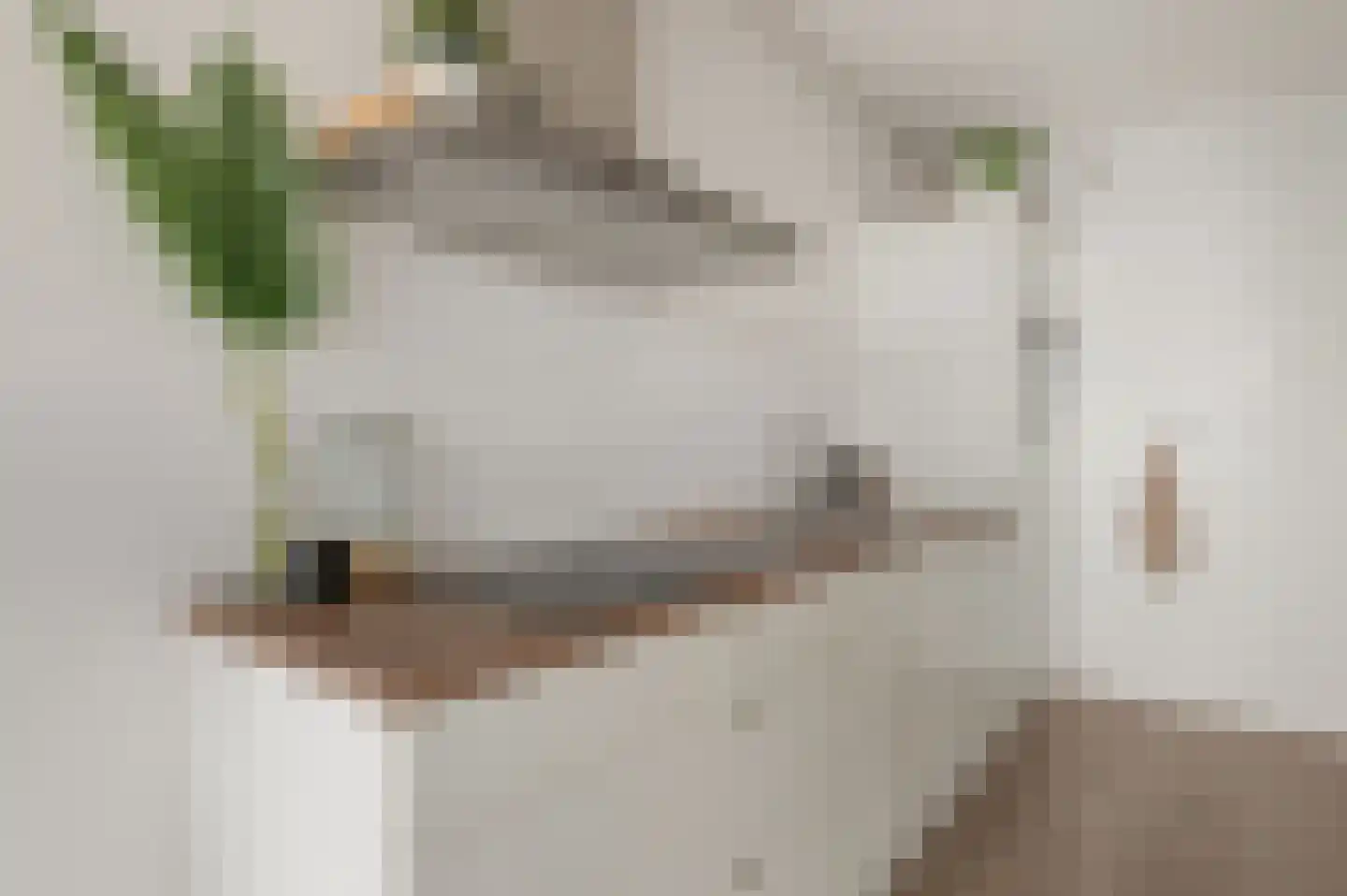Raadhuisplein 46 Hoofddorp thumbnail 13