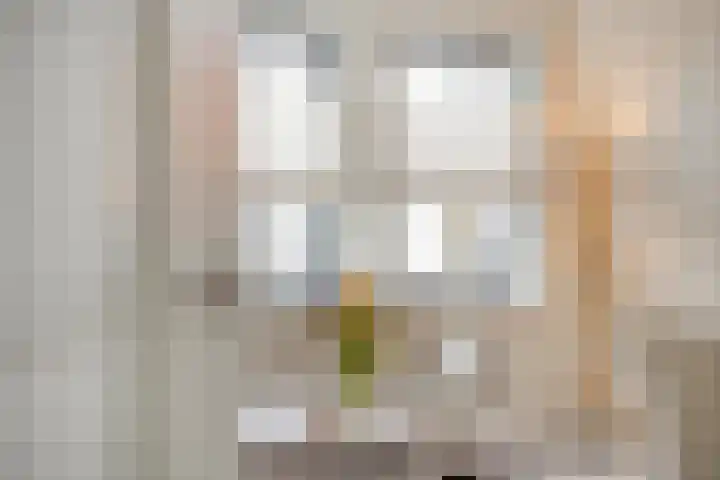 Raadhuisplein 5 e Dinteloord thumbnail 11