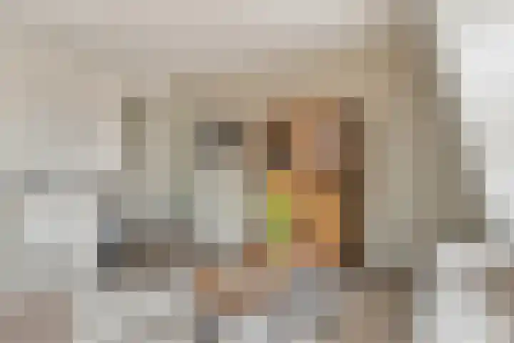 Raadhuisplein 5 e Dinteloord thumbnail 13