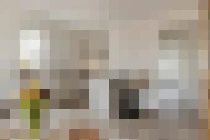 Raadhuisplein 5 e Dinteloord thumbnail 17