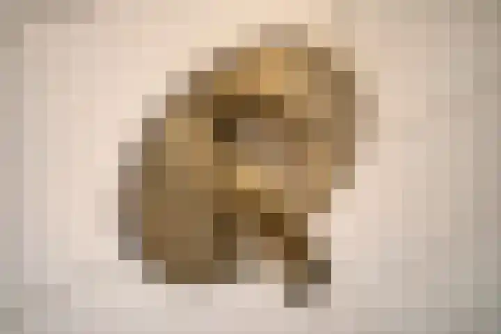 Raadhuisplein 5 e Dinteloord thumbnail 25