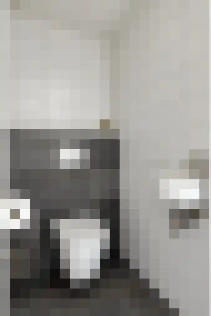 Raadhuisplein 5 e Dinteloord thumbnail 6