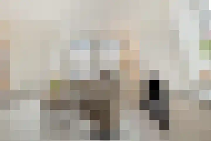 Raadhuisplein 5 e Dinteloord thumbnail 7