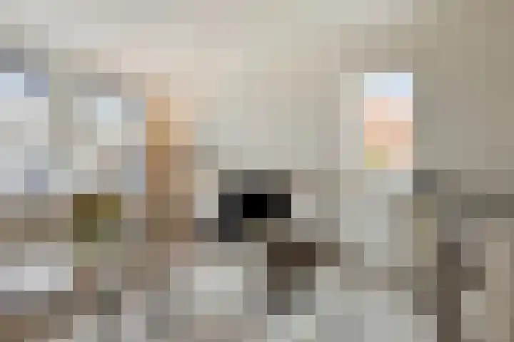 Raadhuisplein 5 e Dinteloord thumbnail 8