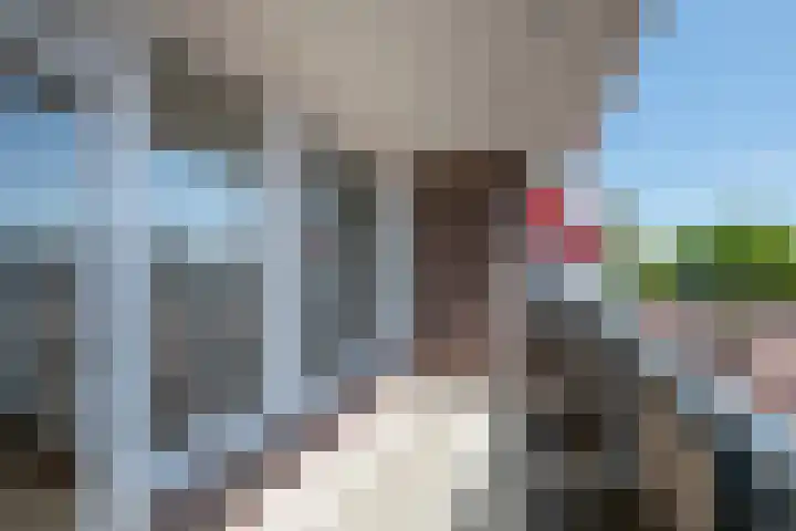 Raadhuisplein 5 Haren Gn thumbnail 27
