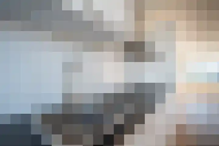 Raadhuisplein 5 Haren Gn thumbnail 31