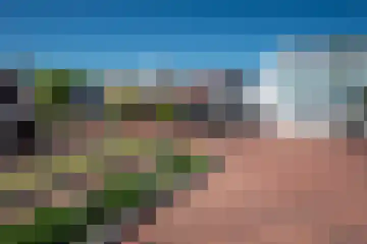 Raadhuisplein 5 Haren Gn thumbnail 6