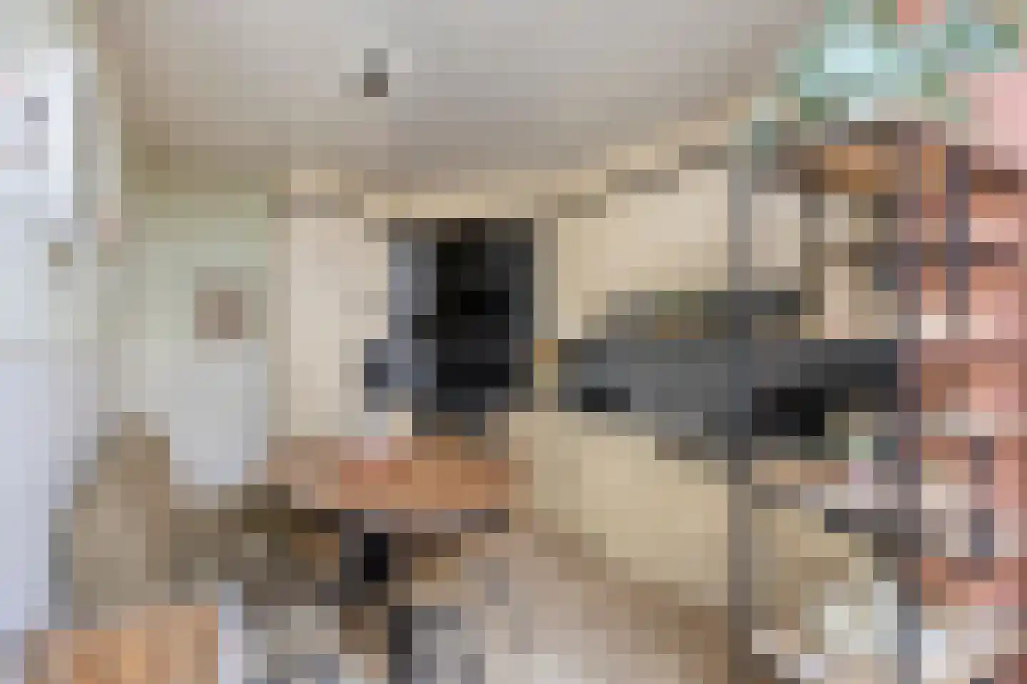 Raadhuisplein 5 Made thumbnail 22