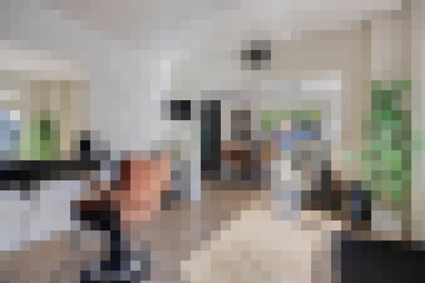 Raadhuisplein 5 Made thumbnail 8