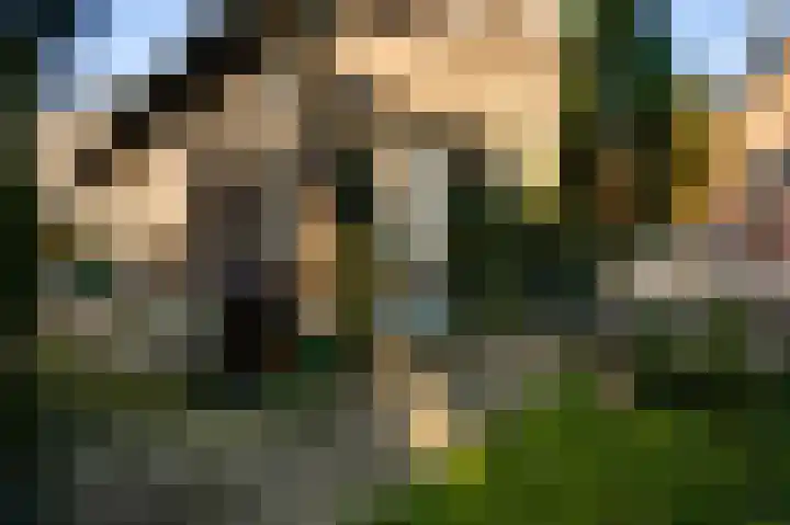 Raadhuisplein 5 Sint Odiliënberg thumbnail 19