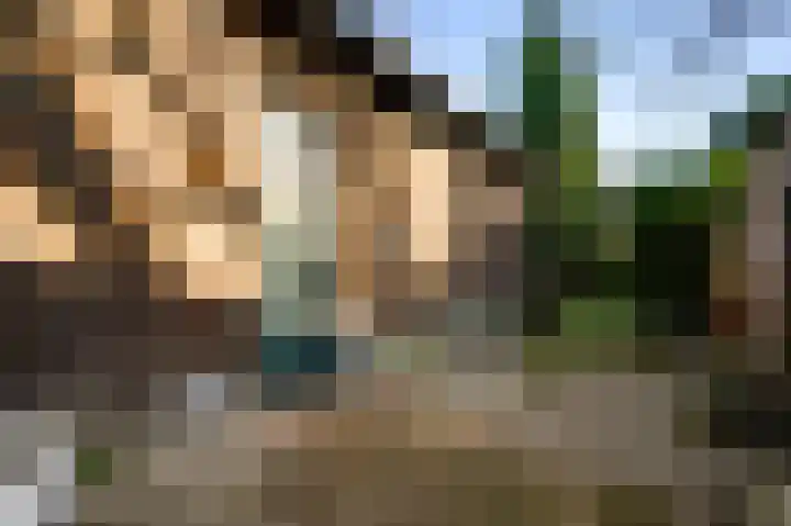 Raadhuisplein 5 Sint Odiliënberg thumbnail 20