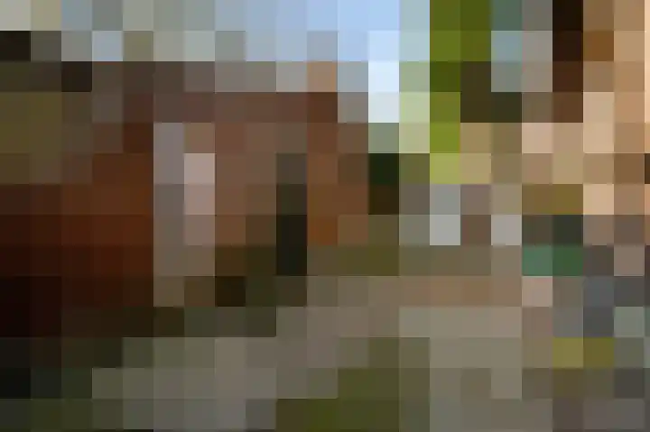 Raadhuisplein 5 Sint Odiliënberg thumbnail 21