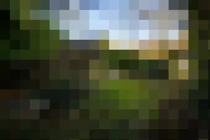 Raadhuisplein 5 Sint Odiliënberg thumbnail 23