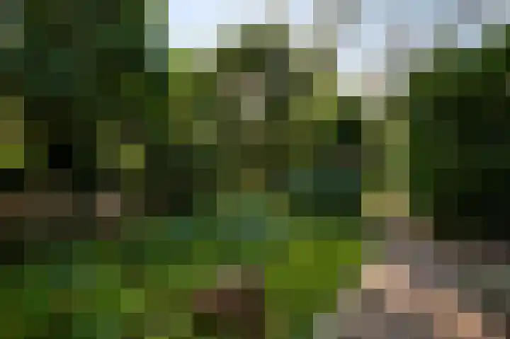 Raadhuisplein 5 Sint Odiliënberg thumbnail 24