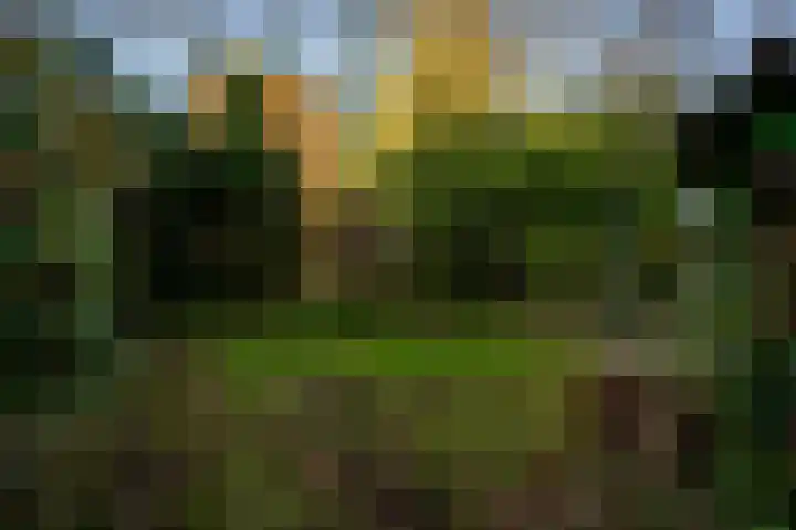 Raadhuisplein 5 Sint Odiliënberg thumbnail 25