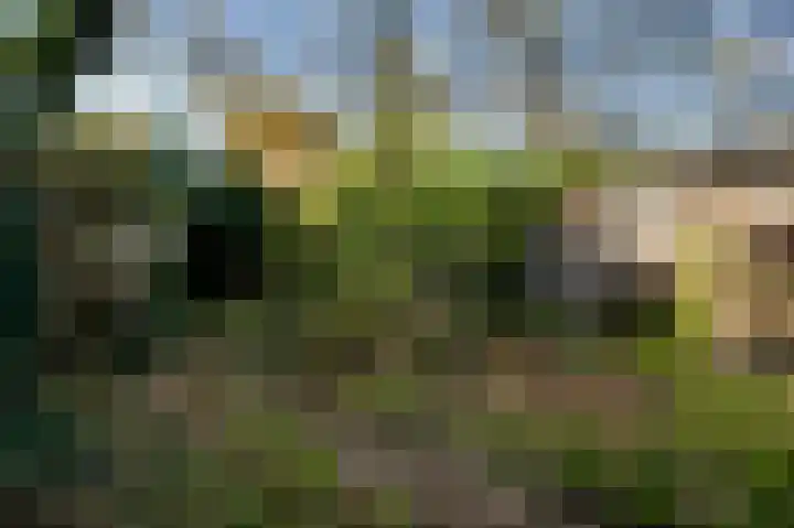 Raadhuisplein 5 Sint Odiliënberg thumbnail 27