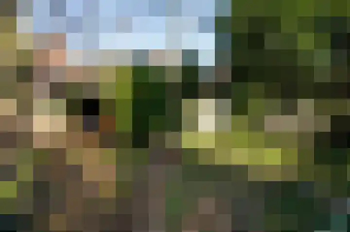 Raadhuisplein 5 Sint Odiliënberg thumbnail 28