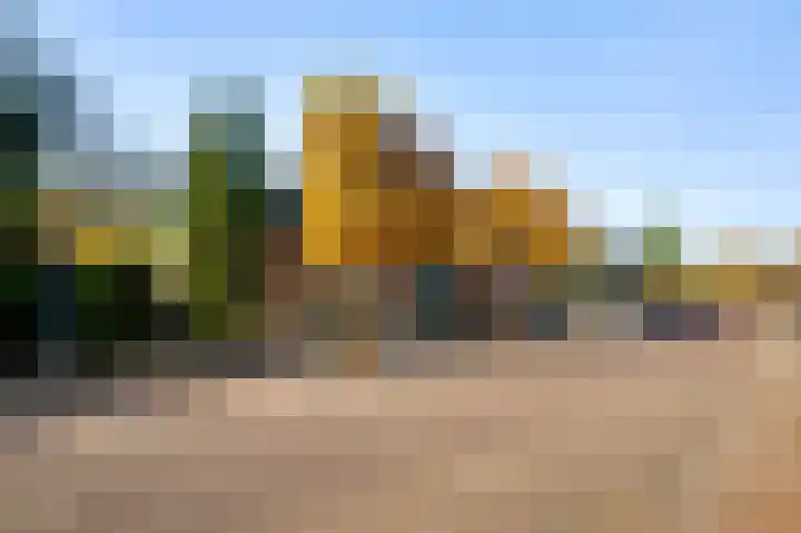 Raadhuisplein 5 Sint Odiliënberg thumbnail 29