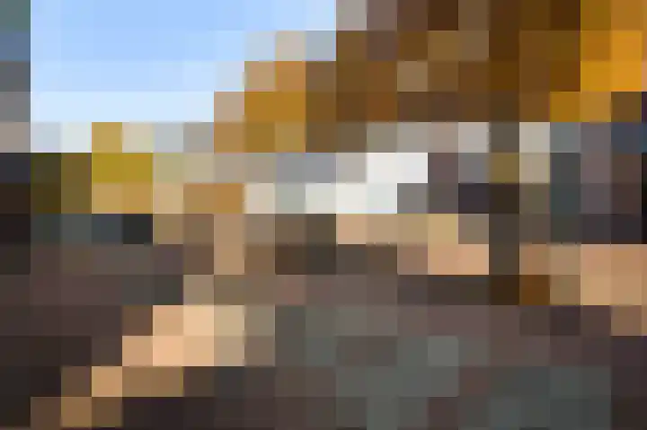 Raadhuisplein 5 Sint Odiliënberg thumbnail 33