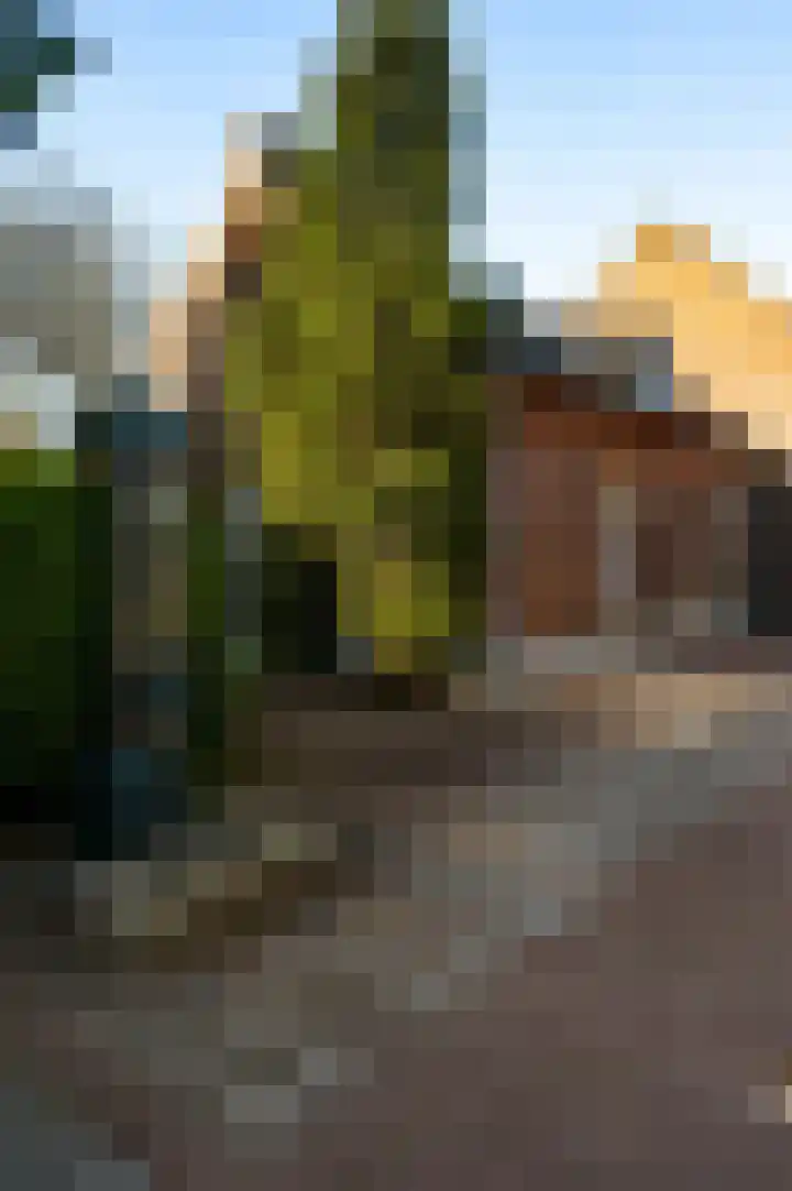 Raadhuisplein 5 Sint Odiliënberg thumbnail 35