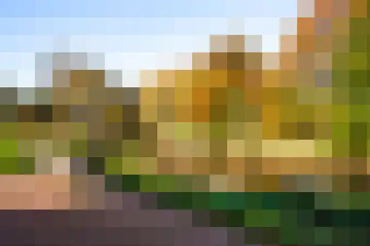 Raadhuisplein 5 Sint Odiliënberg thumbnail 4