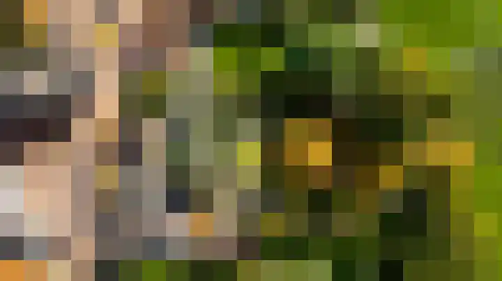 Raadhuisplein 5 Sint Odiliënberg thumbnail 41