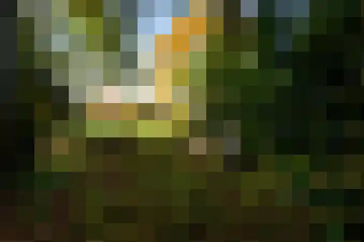 Raadhuisplein 5 Sint Odiliënberg thumbnail 8
